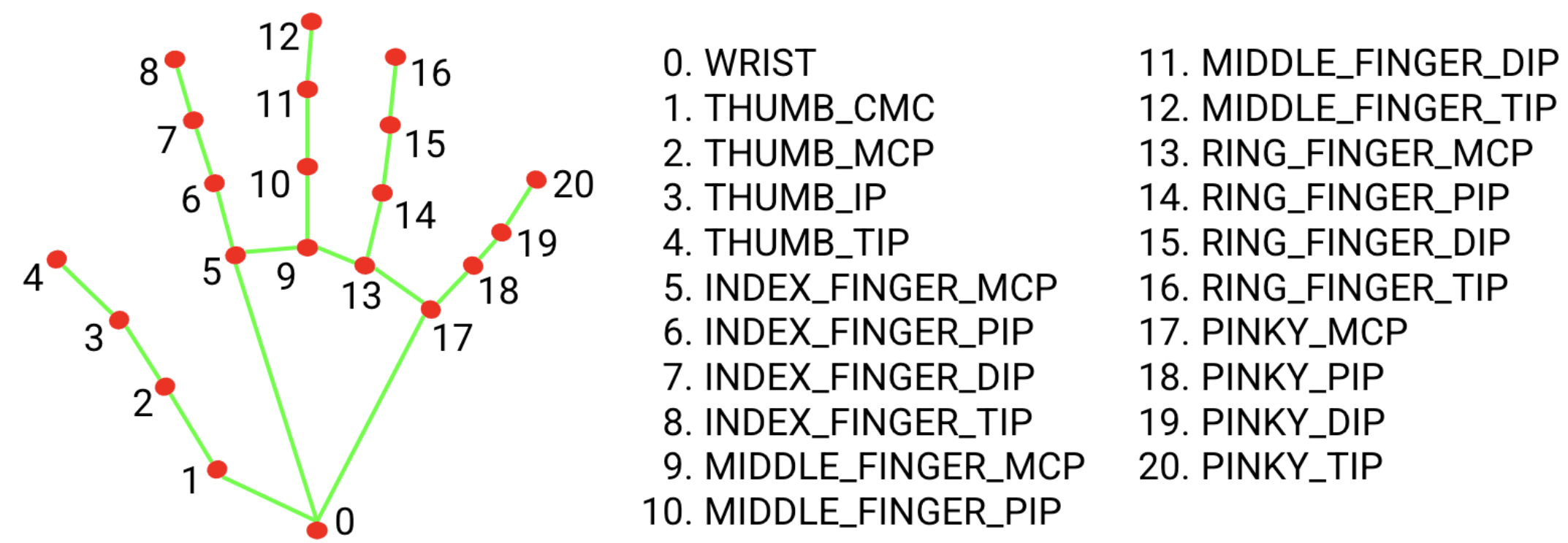 hand landmarks